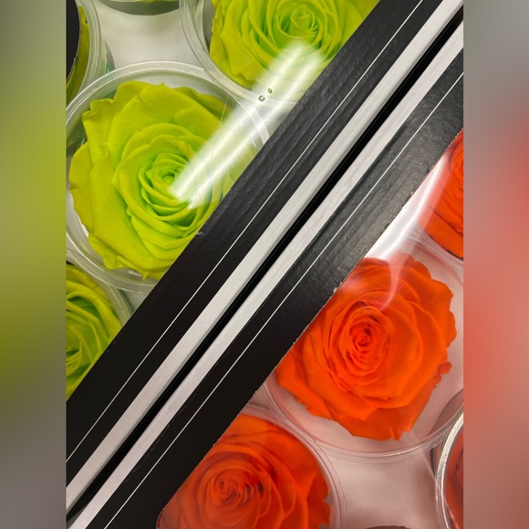 NIB Preserved Rose - Picture 9 of 9